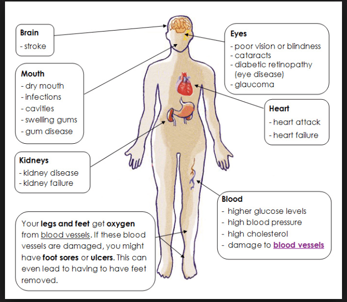 Screen Shot 2016-07-30 at 2.19.32 PM