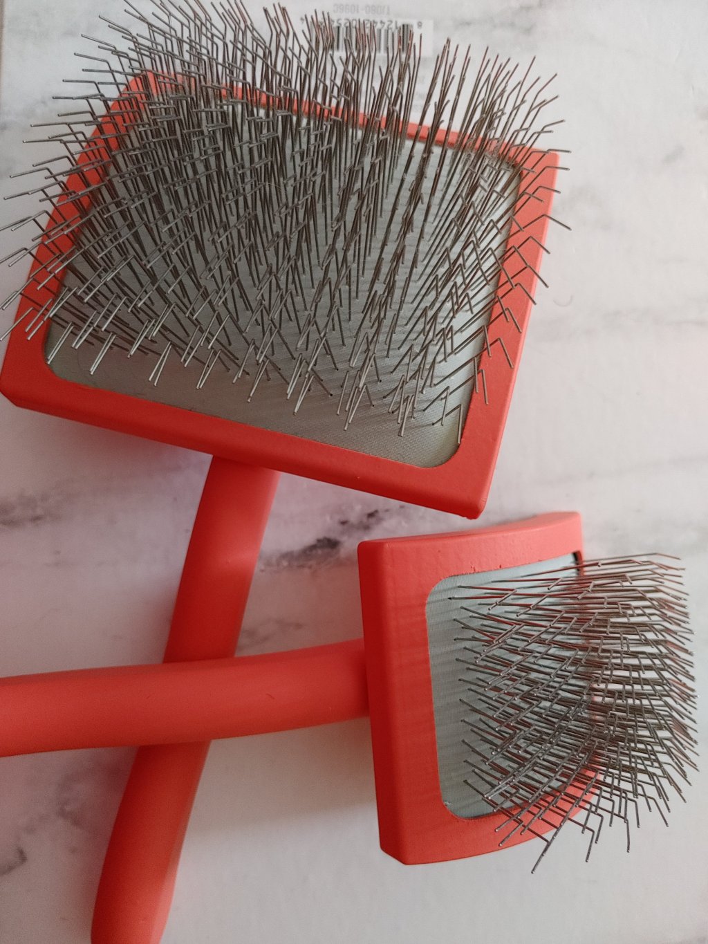 Let’s Shave A Poodle 101 Dog Grooming –&nbsp;Pre-Bath